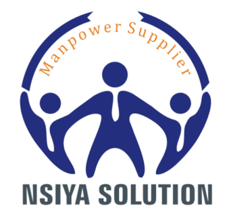 nsiya solution logo png